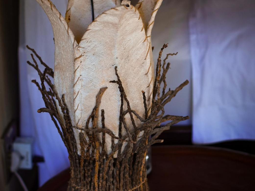 Ihlozi Bush Lodge 슐룰루웨 외부 사진